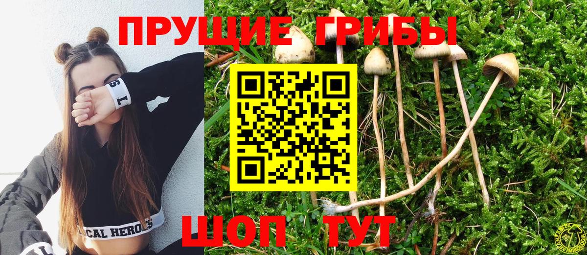 Псилоцибиновые грибы MAGIC MUSHROOMS Реж